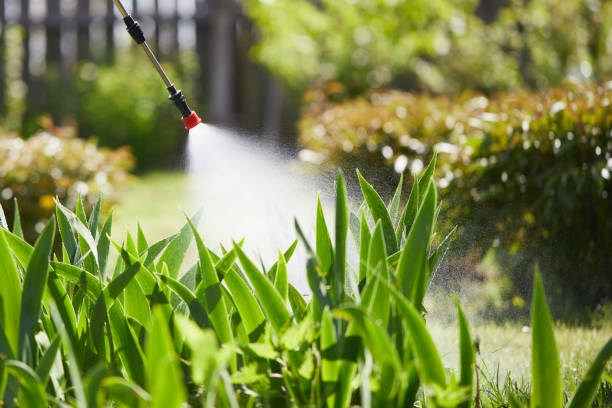 24/7 Emergency Fumigation Services experts in North Webster, IN