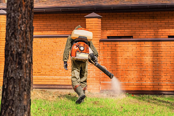 Trusted Emergency Pest Control service in North Webster, IN - Nex Pest Control